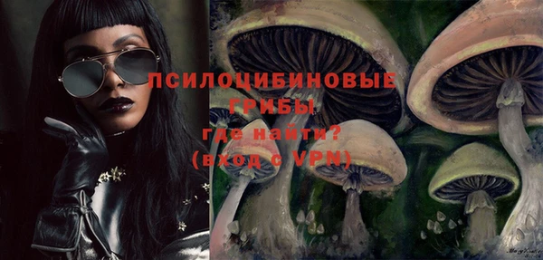 ECSTASY Абаза