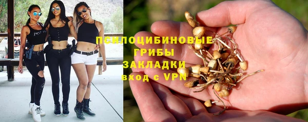 ECSTASY Абаза