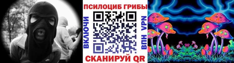 Псилоцибиновые грибы прущие грибы  Тайга 